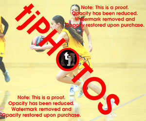 April Hollingsworth Wyndham 2025 Game Photo Catalogue