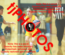 Load image into Gallery viewer, Mia Myers Wyndham 2025 Game Photo Catalogue