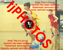 Load image into Gallery viewer, Viktor Stolic Wyndham 2025 Game Photo Catalogue