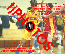 Load image into Gallery viewer, Viktor Stolic Wyndham 2025 Game Photo Catalogue