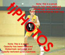 Load image into Gallery viewer, William MacCallum Wyndham 2025 Game Photo Catalogue