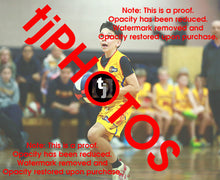 Load image into Gallery viewer, Harry Pisano Wyndham 2025 Game Photo Catalogue
