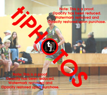 Load image into Gallery viewer, Oliver Probst Truganina South Winter 2025 Game Photo Catalogue