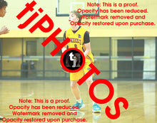 Load image into Gallery viewer, Thomas Helliger Wyndham 2025 Game Photo Catalogue