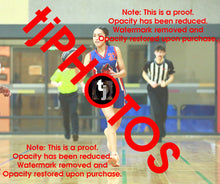 Load image into Gallery viewer, Te Ohomairangi Puketapu-Harmer Iramoo Winter 2025 Game Photo Catalogue