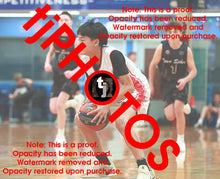 Load image into Gallery viewer, William Lim Christmas Classic 2024 Game Photo Catalogue