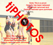 Load image into Gallery viewer, Sienna Winterhalter Wyndham 2025 Game Photo Catalogue