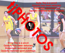 Load image into Gallery viewer, Sienna Winterhalter Wyndham 2025 Game Photo Catalogue