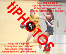 Load image into Gallery viewer, Ella Winterhalter Wyndham 2025 Game Photo Catalogue