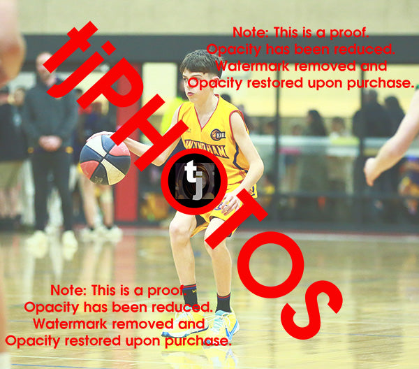 Blake Davis Wyndham 2025 Game Photo Catalogue