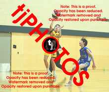 Load image into Gallery viewer, Harry Pisano Wyndham 2025 Game Photo Catalogue