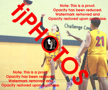 Load image into Gallery viewer, William MacCallum Wyndham 2025 Game Photo Catalogue