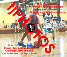 Load image into Gallery viewer, Christopher Putaka Iramoo Winter 2025 Game Photo Catalogue