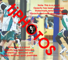 Load image into Gallery viewer, Jye Silcock Iramoo Winter 2025 Game Photo Catalogue