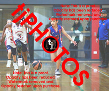 Load image into Gallery viewer, Sarra Grira Iramoo Flyers Winter 2025 Game Photo Catalogue