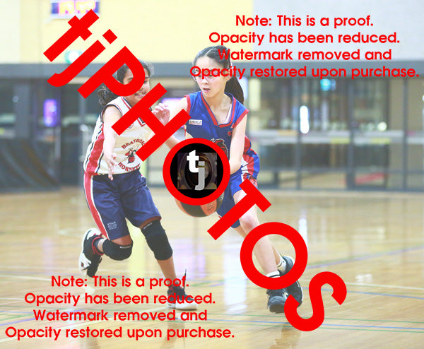 Chanel Alinea Iramoo Flyers Winter 2025 Game Photo Catalogue