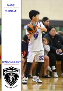 Bensonhurst Basketball Trading Card Series