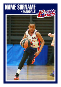 Heathdale Basketball Trading Card Series