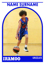 Load image into Gallery viewer, Iramoo Basketball Trading Card Series