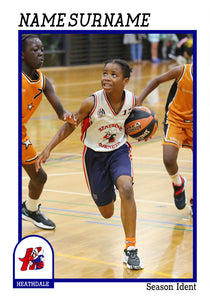 Heathdale Basketball Trading Card Series