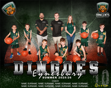 Load image into Gallery viewer, Eynesbury Dingoes Digital Team Photo