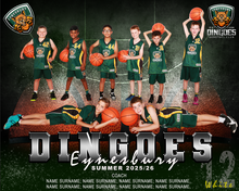 Load image into Gallery viewer, Eynesbury Dingoes Digital Team Photo