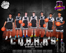 Load image into Gallery viewer, Woodville Basketball Digital Team Photo