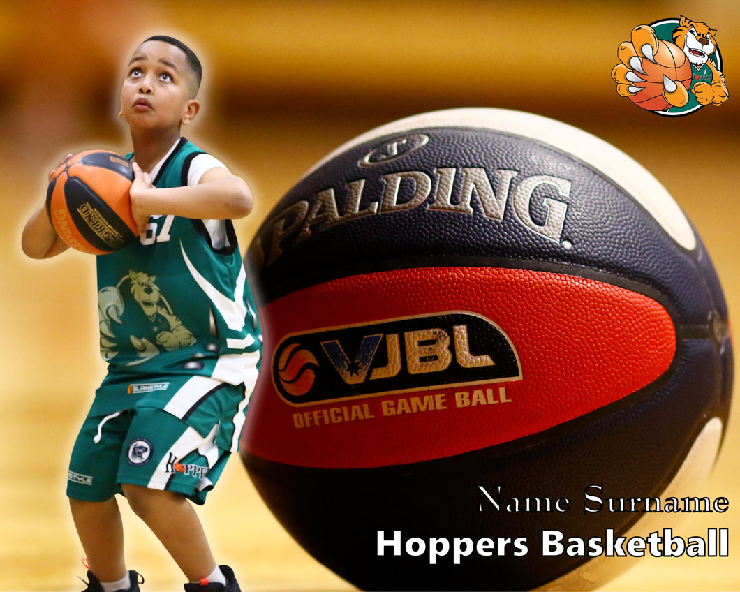 Hoppers Basketball On Ball Photo