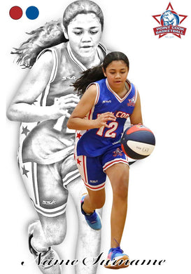 Point Cook Basketball SKETCH Photo