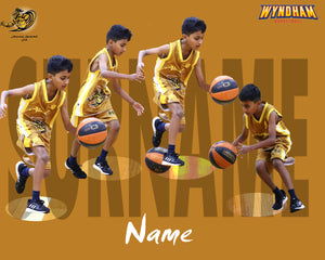 Alamanda Basketball A2 PLAYER FRAMES