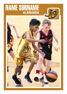 Alamanda Basketball Trading Card Series