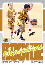 Load image into Gallery viewer, Alamanda Basketball Trading Card Series