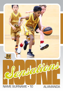 Alamanda Basketball Trading Card Series