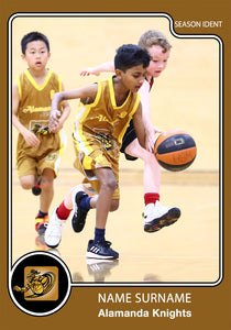 Alamanda Basketball Trading Card Series