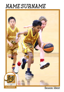 Alamanda Basketball Trading Card Series