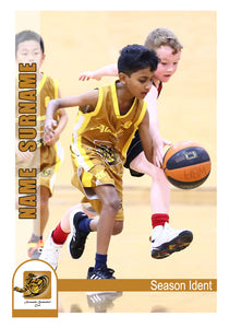 Alamanda Basketball Trading Card Series