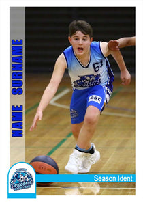 Western Wildcats Basketball Trading Card Series