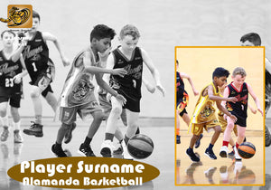 Alamanda Basketball BLACK and WHITE OVERLAY Photo