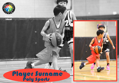 Poly Sports Basketball BLACK and WHITE OVERLAY Photo