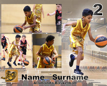 Load image into Gallery viewer, Alamanda Basketball A2 PLAYER FRAMES